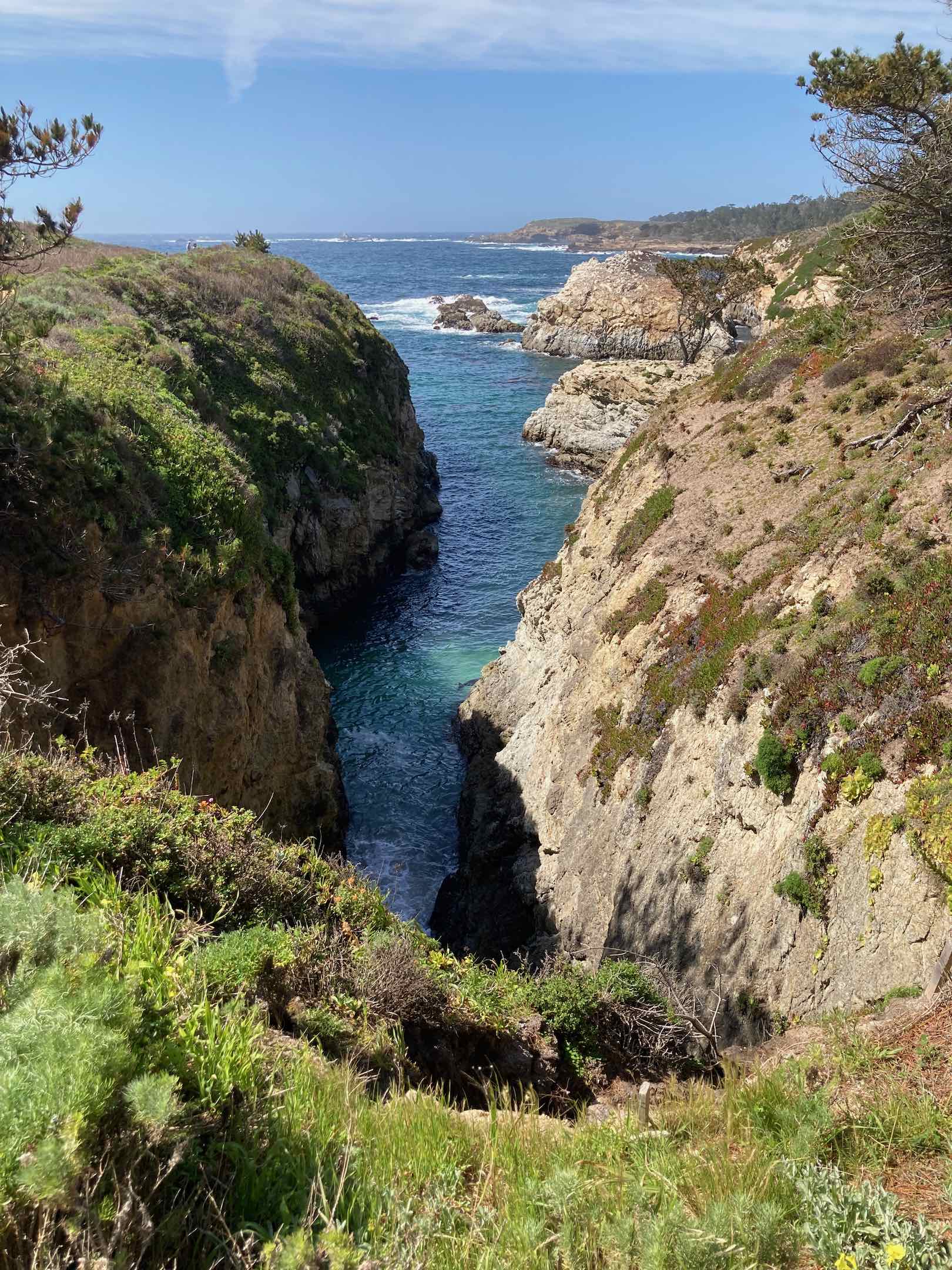 Point Lobos