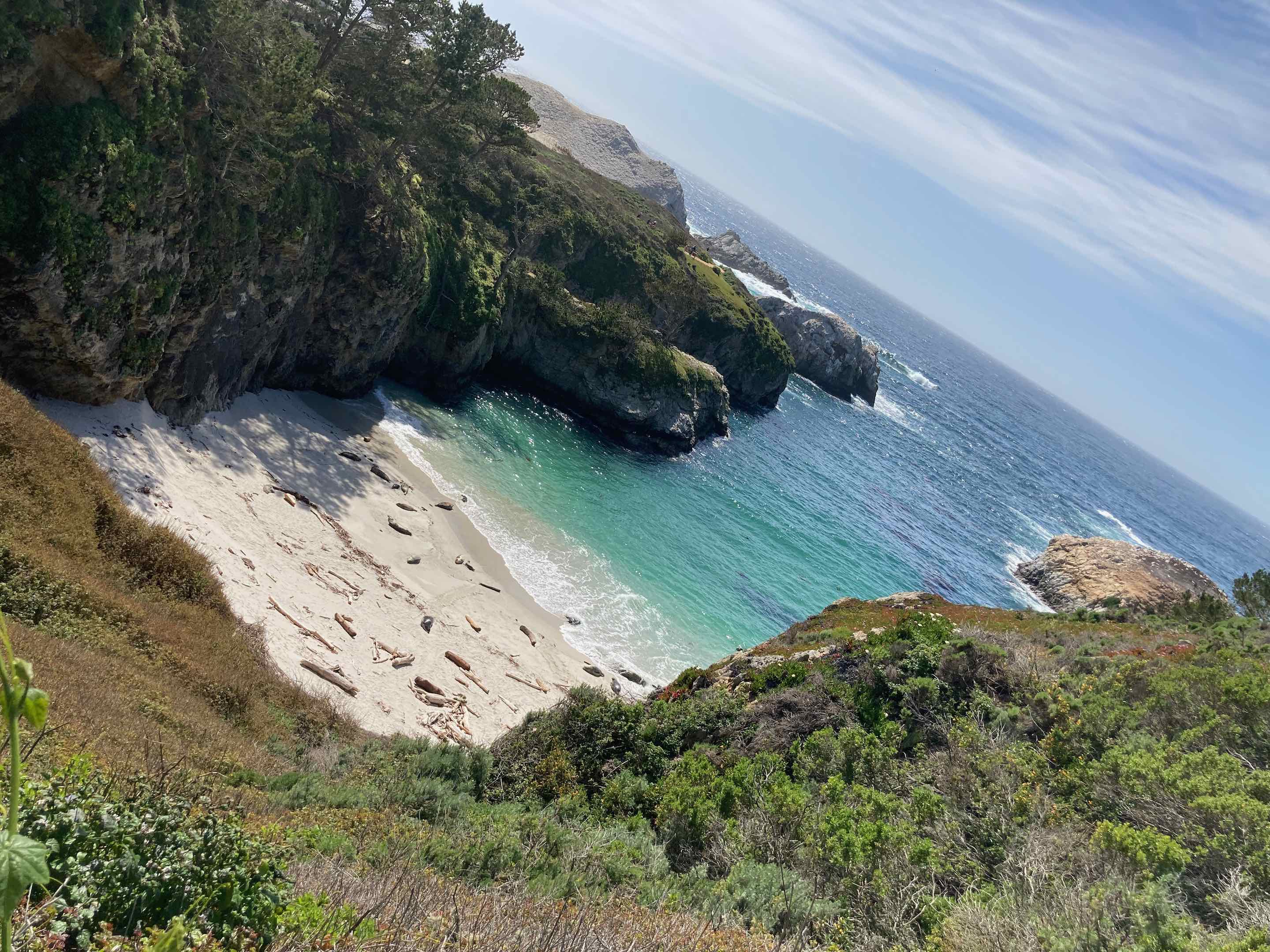 Point Lobos