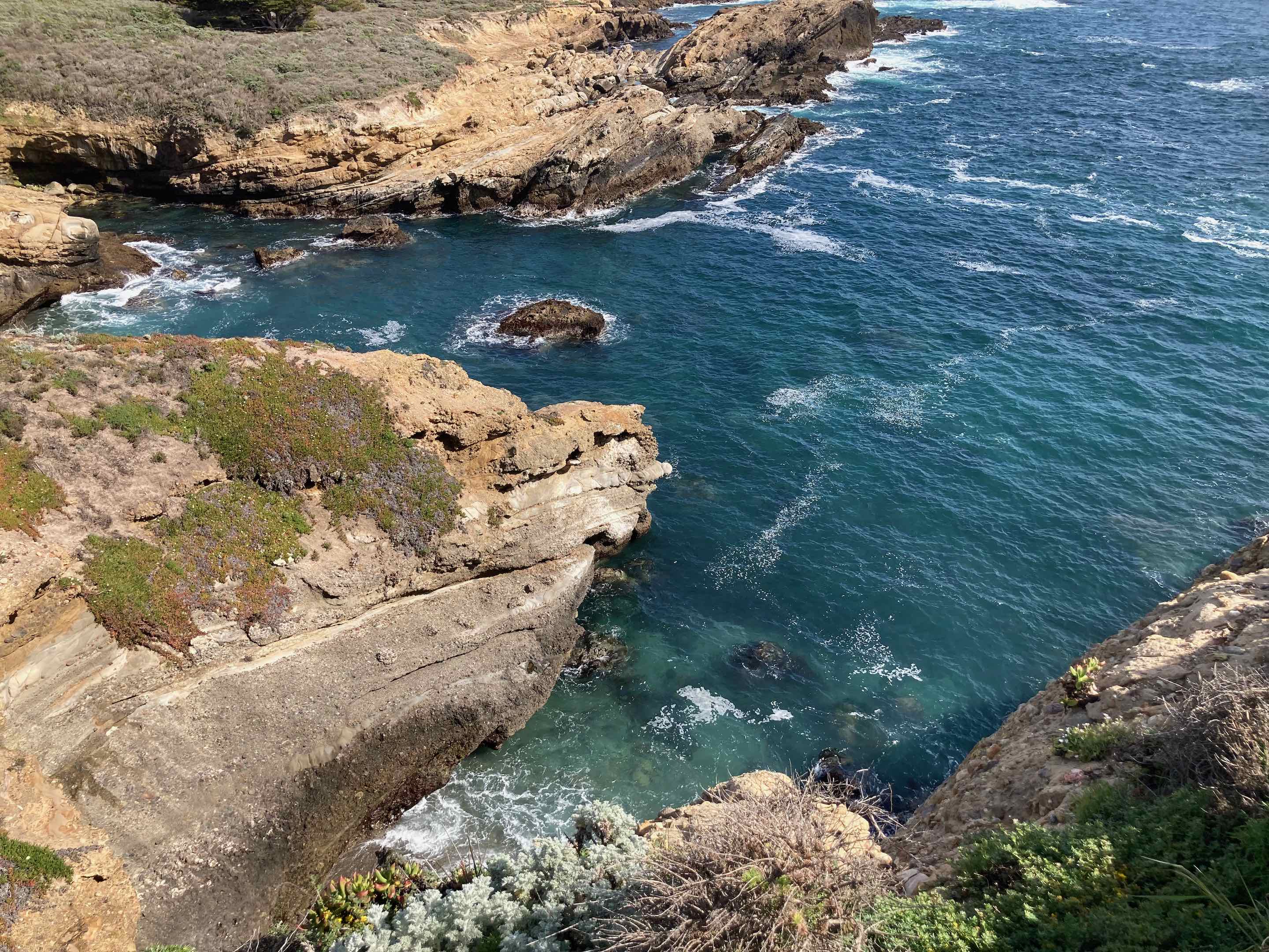 Point Lobos