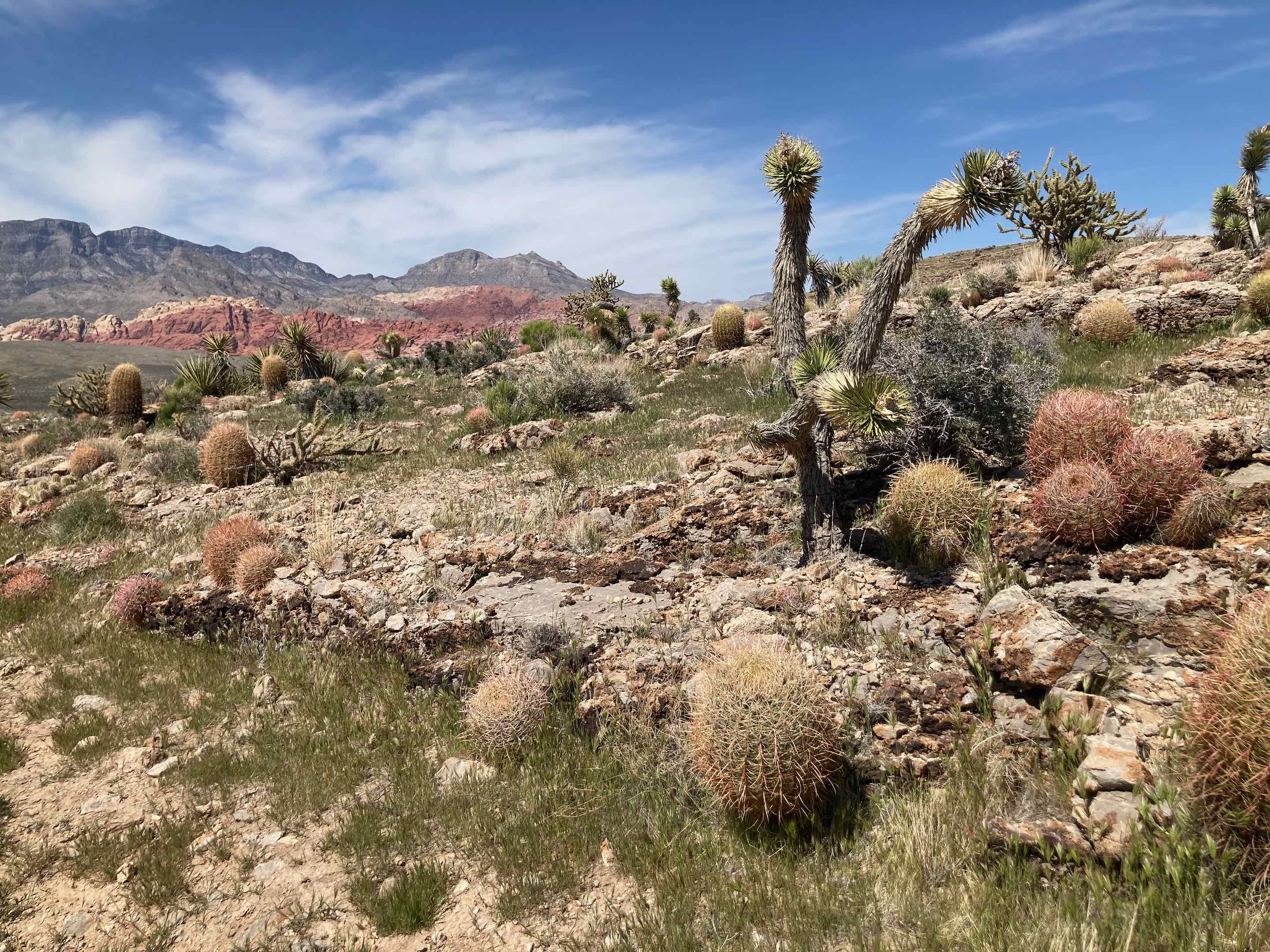 Red Rock Canyon