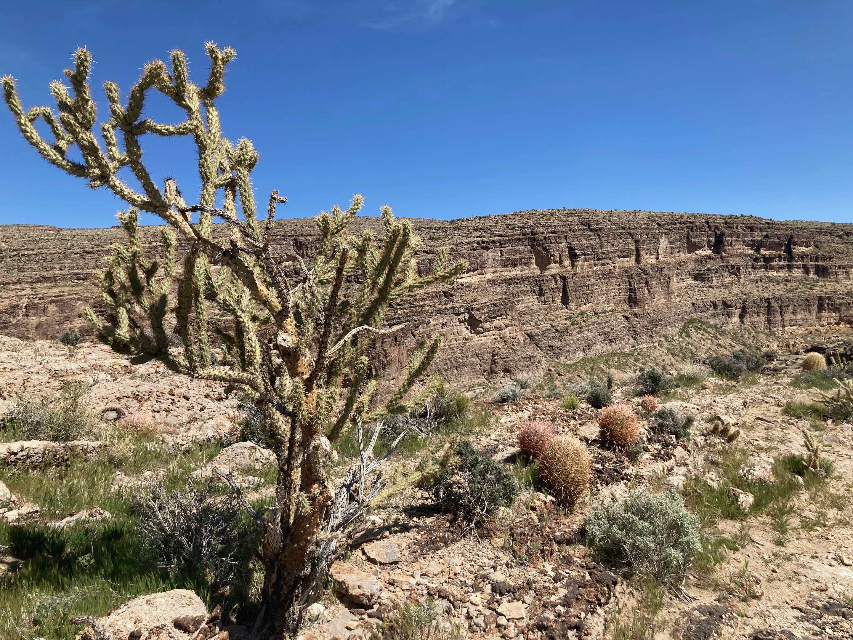 Red Rock Canyon