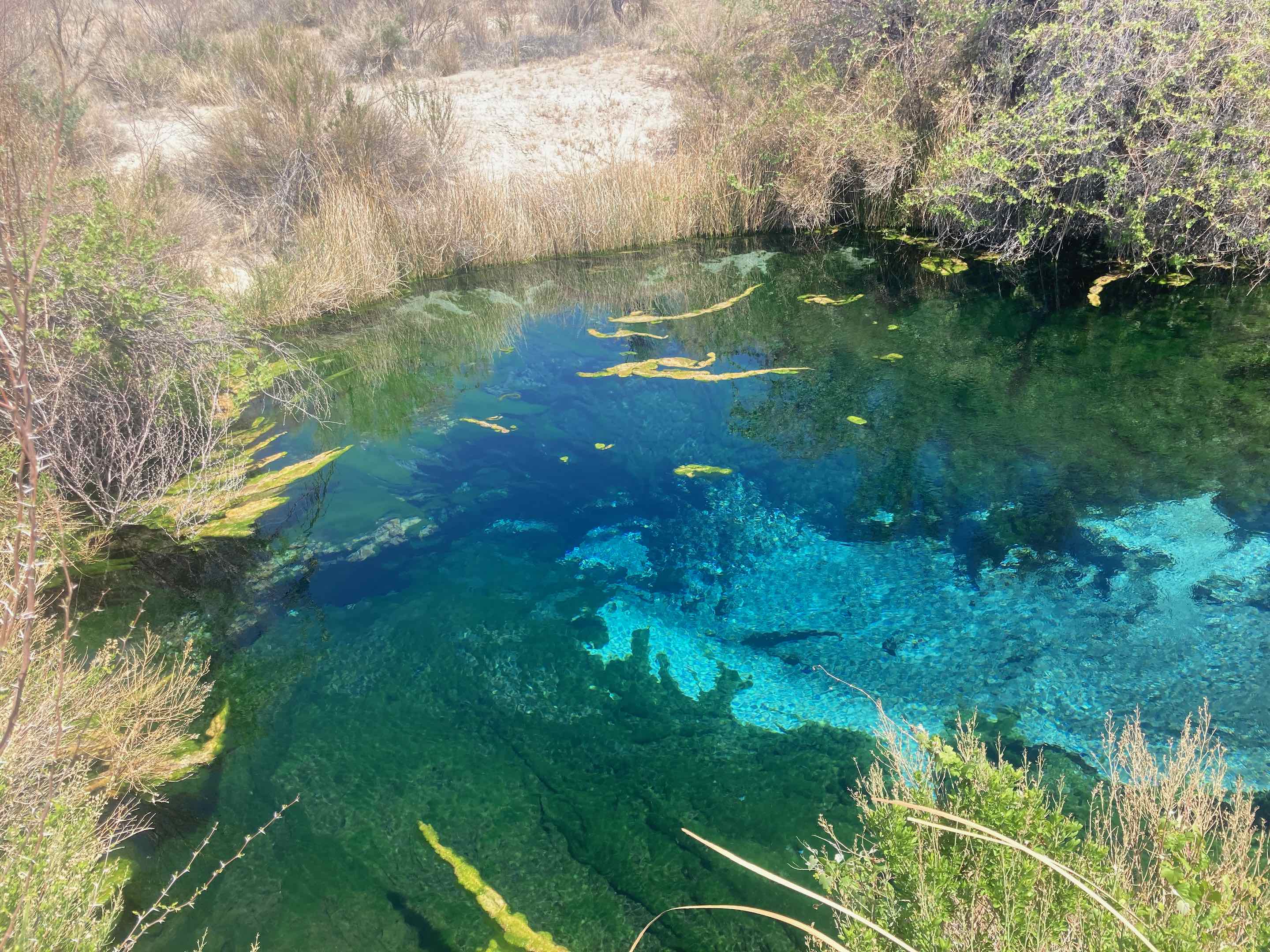 Ash Meadows National Wildlife Refuge